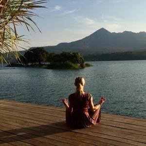 Meet your Posher, Molly